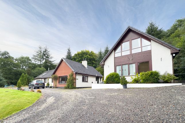 Thumbnail Detached house for sale in Dalcattaig, Invermoriston, Invernessshire