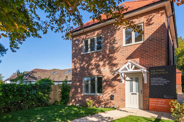 The Forge More Externals-3.Jpg