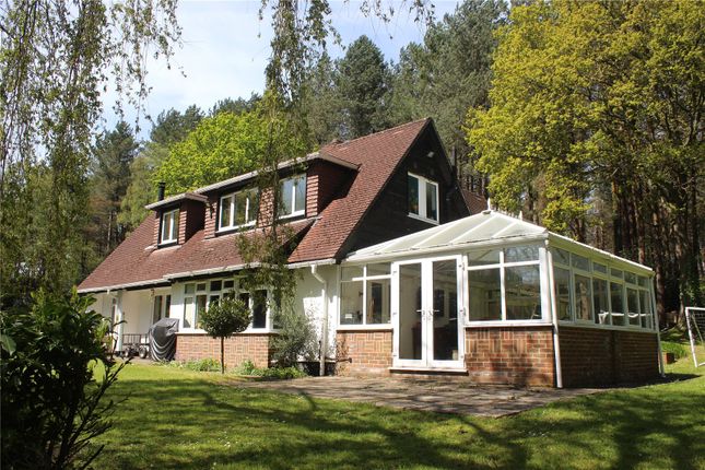 Forest House,, Roman Road West, Southampton photo 4