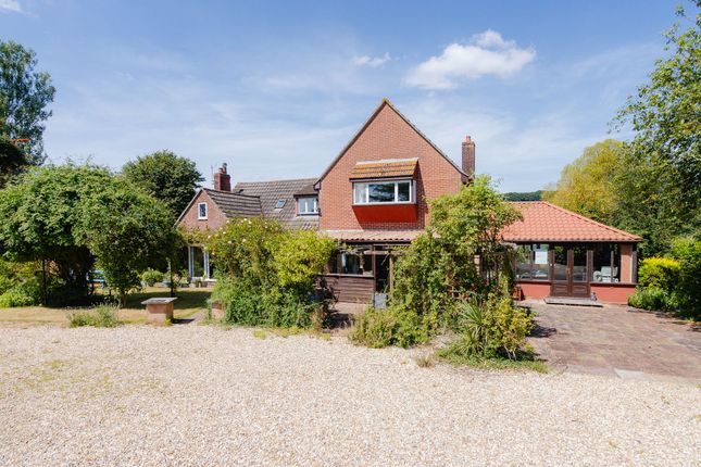 Thumbnail Detached house to rent in North Tawton