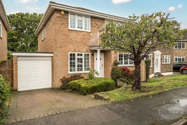 2E16968A-25E0-46B...