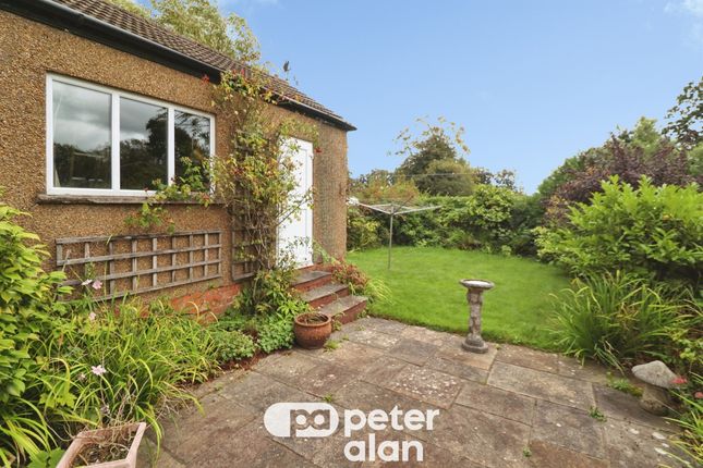 33, Waun-Y-Groes Avenue, Cardiff photo 4