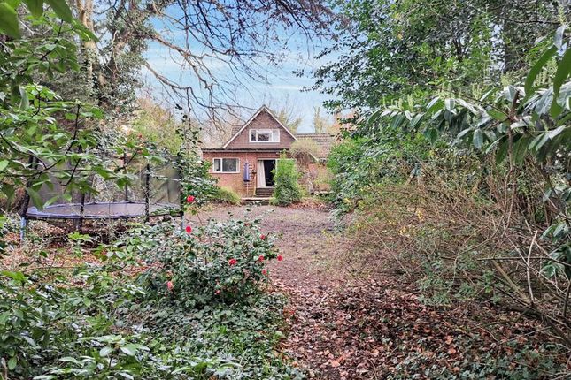 Thumbnail Detached house for sale in Tekels Way, Camberley