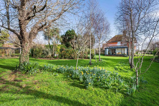 34, Chyngton Road, Seaford photo 2