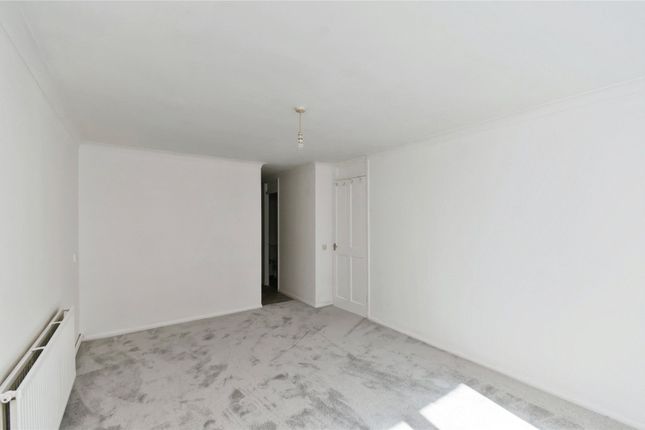 7, The Pines, Brighton photo 4