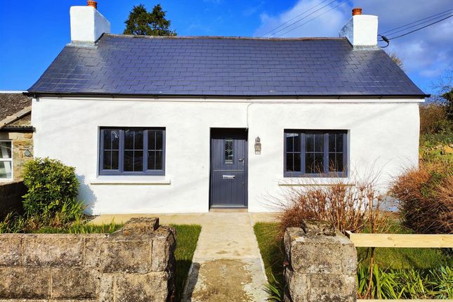 The Forge, St. Nicholas, Goodwick photo 2