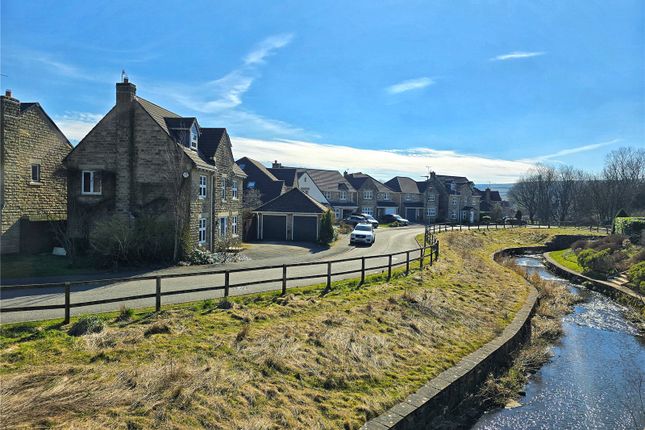 Opposite A Stream