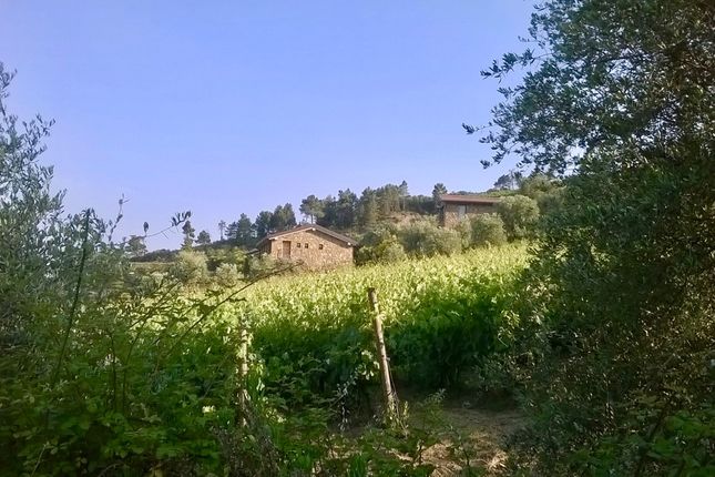 Land for sale in Loc. Arcagna, Dolceacqua, Imperia, Liguria, Italy