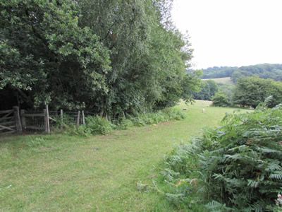 Land for sale in Dale Hill, Wadhurst Hurst Green