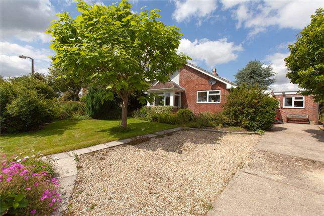Thumbnail Detached bungalow to rent in Astley Close, Pewsey, Wiltshire