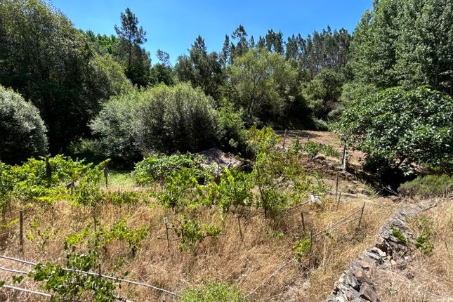 Land for sale in Graça, Pedrógão Grande, Leiria, Central Portugal