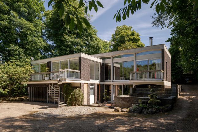 Domus, 542 Colne Road, Reedley photo 3