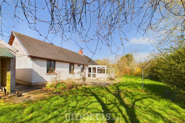 Detached bungalow for sale in Llechryd, Cardigan