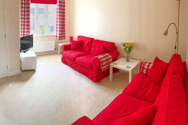 39, Limousin Way, Bridgwater photo 4