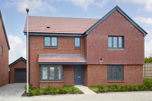 External Photography