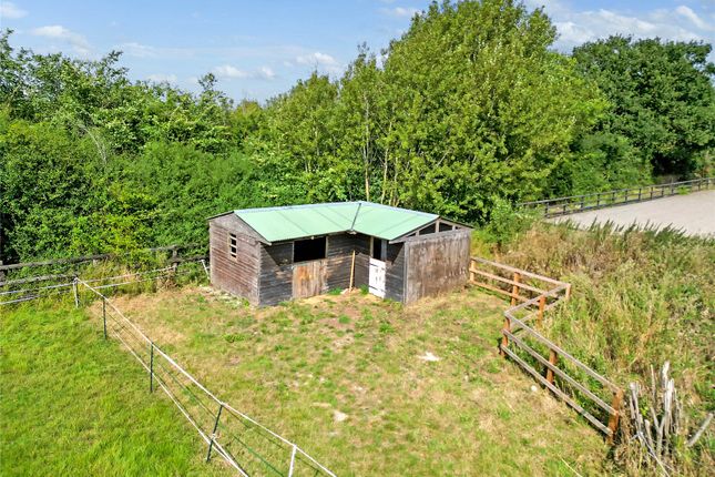 Stables