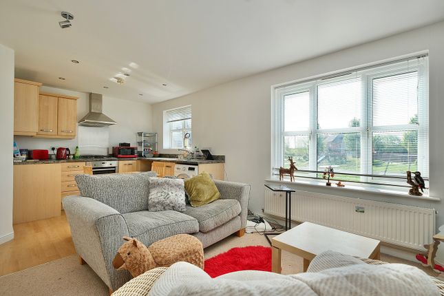 30, Stokes Drive, Huntingdon photo 3