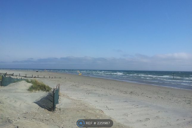 Near The Beach