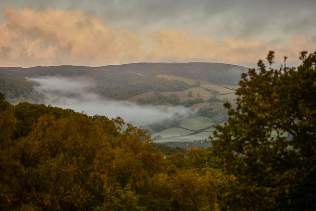 313489 - 20251029_Bwlch_Coch__Shot_1_148.Jpg