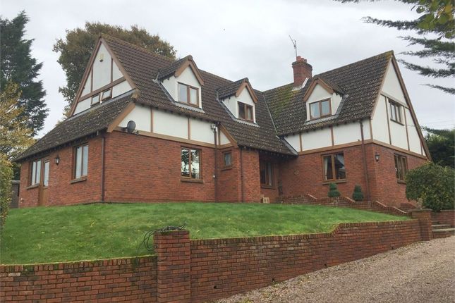 Thumbnail Semi-detached house to rent in Couches Lane, Woodbury, Exeter