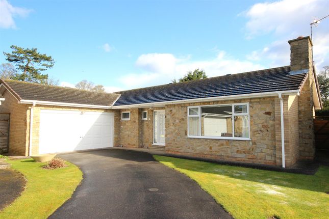 Thumbnail Detached bungalow for sale in The Cedar Grove, Beverley