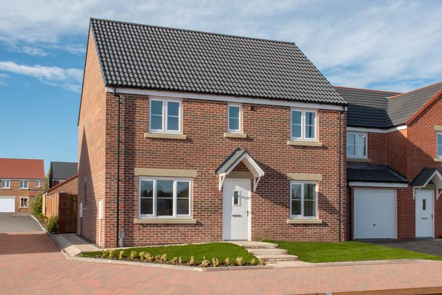 Detached house for sale in "The Whiteleaf" at Beaumont Hill, Darlington