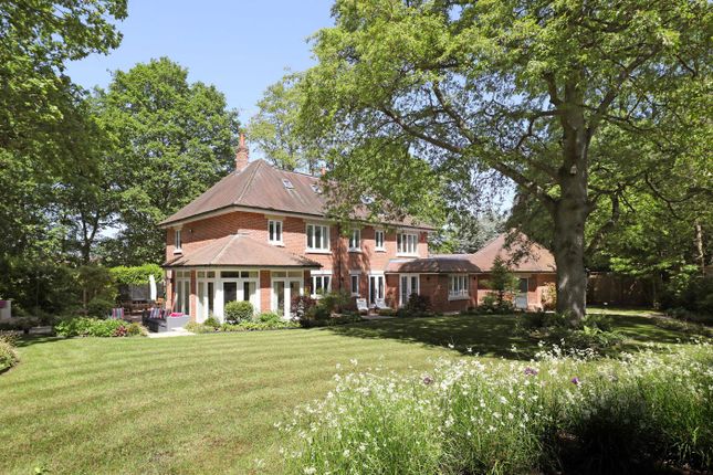 Thumbnail Detached house for sale in Sandringham Drive, Ascot