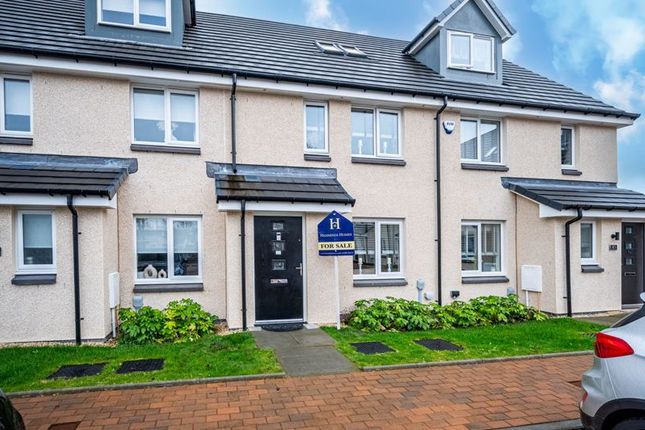Thumbnail Terraced house for sale in Lotus Crescent, Cleland, Motherwell