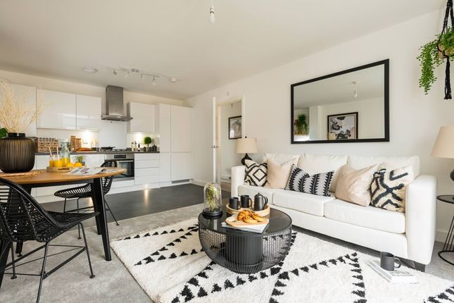 Sociable Open Plan Living Space