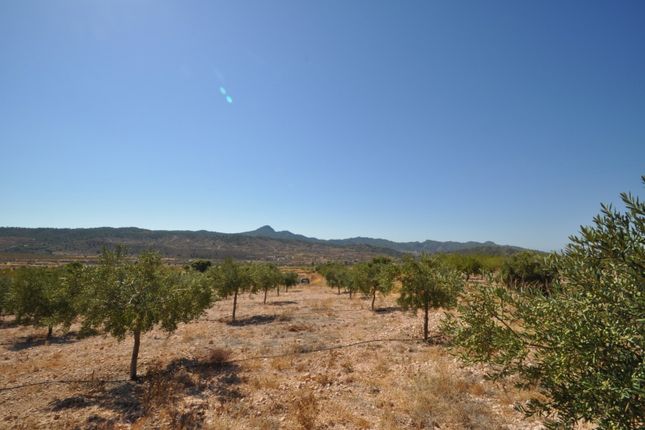 Thumbnail Land for sale in 30648 Macisvenda, Murcia, Spain