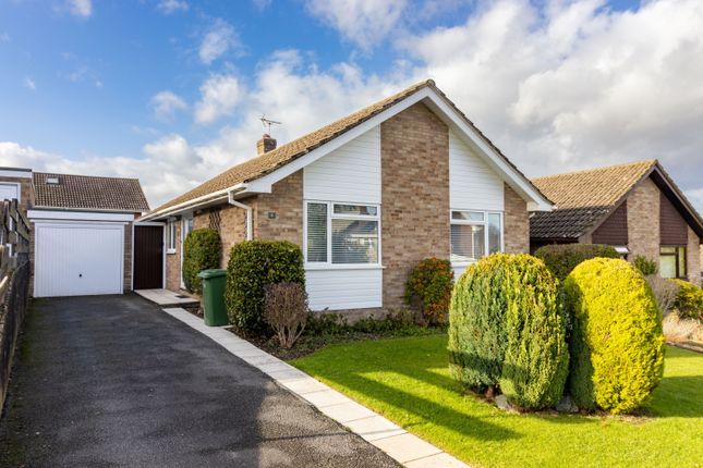 Detached bungalow to rent in Oak Hill, Alresford, Hampshire