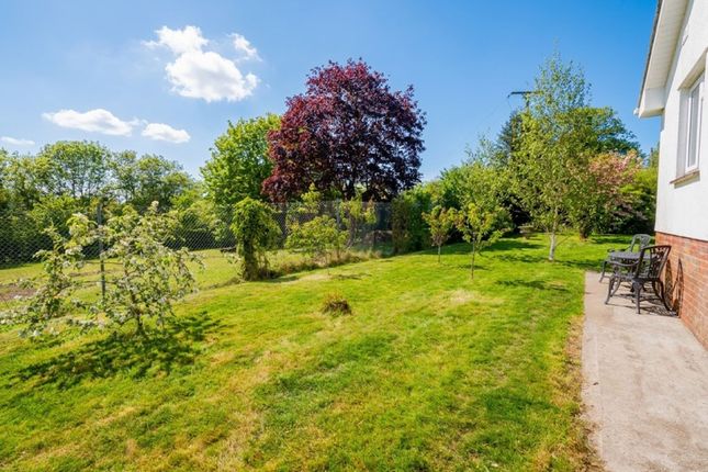 4, Bary Close, Cheriton Fitzpaine, EX17 photo 4