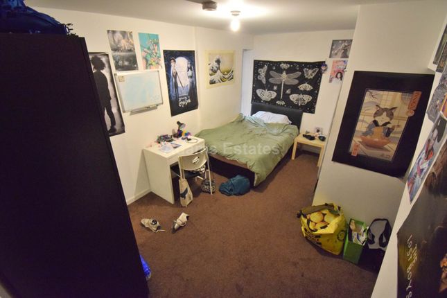 16, Amity Road, Reading photo 4
