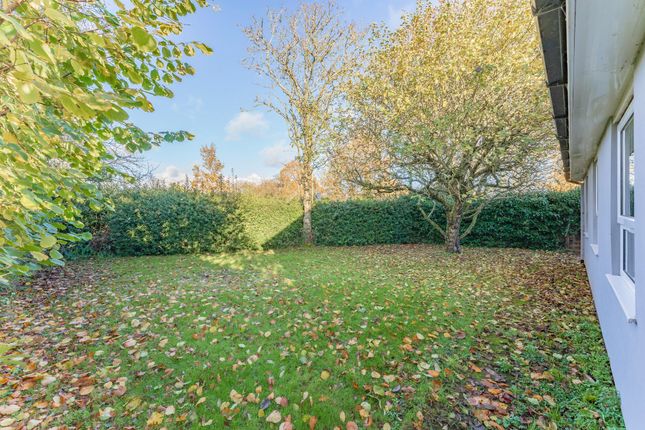Detached bungalow for sale in The Uplands, Beccles