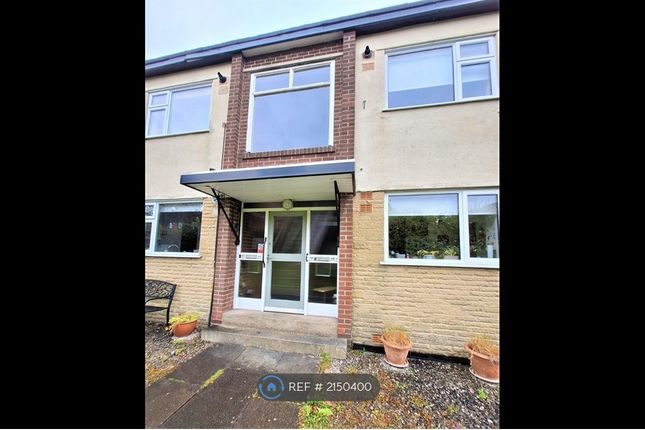 Thumbnail Flat to rent in Harvey Clough Road, Sheffield