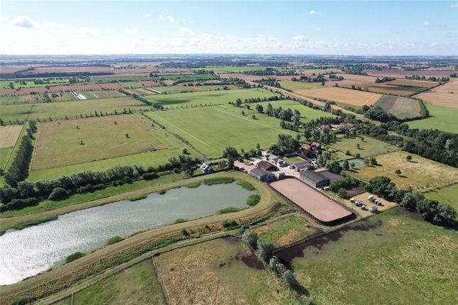 Thumbnail Detached house for sale in Cambridge County Polo Club, Lode, Cambridgeshire