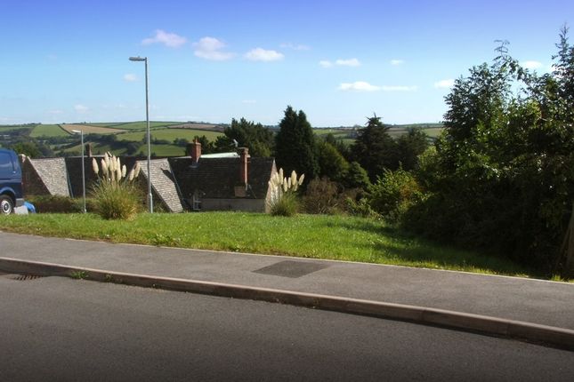 View Over The Plot