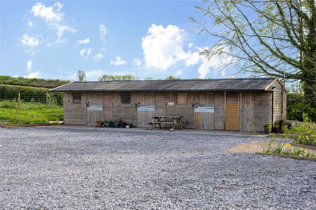 Stables