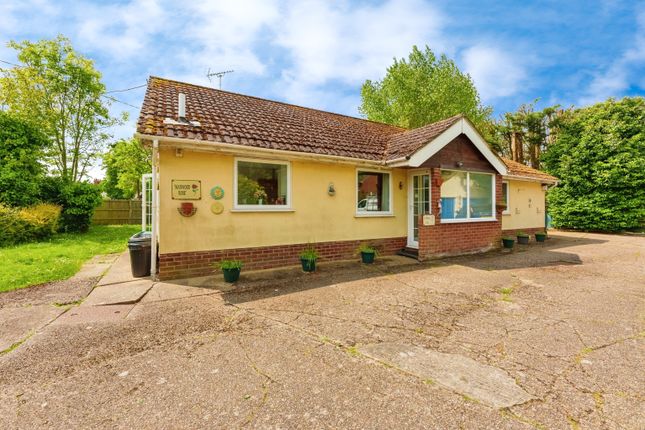 Thumbnail Bungalow for sale in Mersea Road, Abberton, Colchester