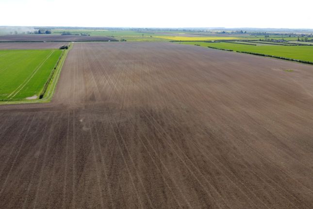 Lot 5 - 41.01 Acres (16.59ha) Of Grade 3 Arable La, Austen Fen, Louth photo 3