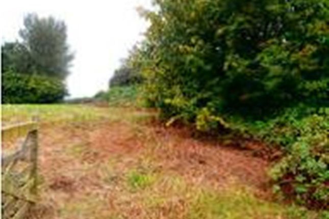 Homes For Sale In West Coker Buy Property In West Coker