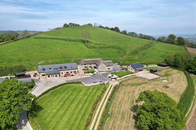 Thumbnail Detached house for sale in Southleigh, Colyton, Devon