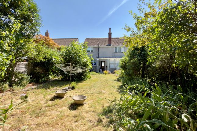 7, Nut Tree Close, Highbridge photo 3