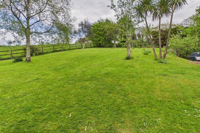 Penniwood, Colebrook Farm, Bude photo 3