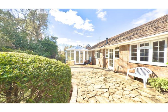 57, Hurstwood, Ascot photo 3