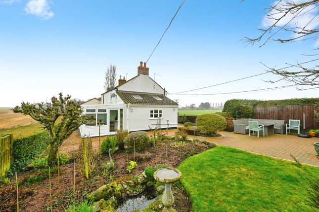 Goose Cottage, 47, New Roman Bank, King's Lynn photo 3