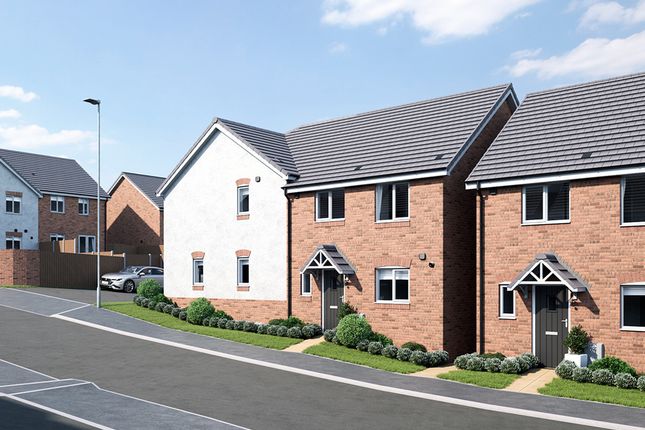 Thumbnail Semi-detached house for sale in "Sage Home" at Chard Road, Axminster