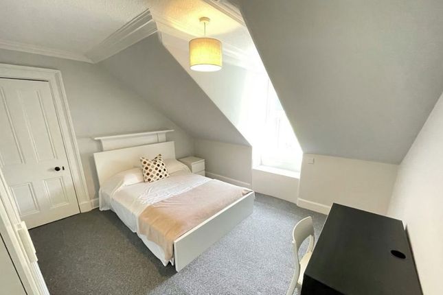 Paradise Road, Dundee, Dundee photo 3
