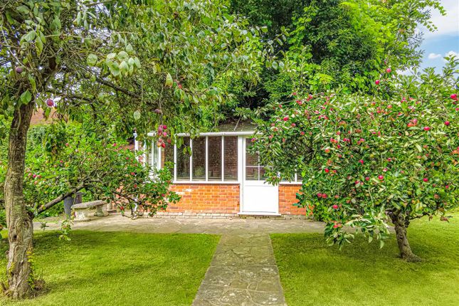 Kitchen Garden