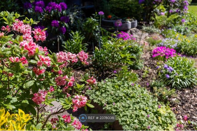 Close To Nature. Gardens Surround